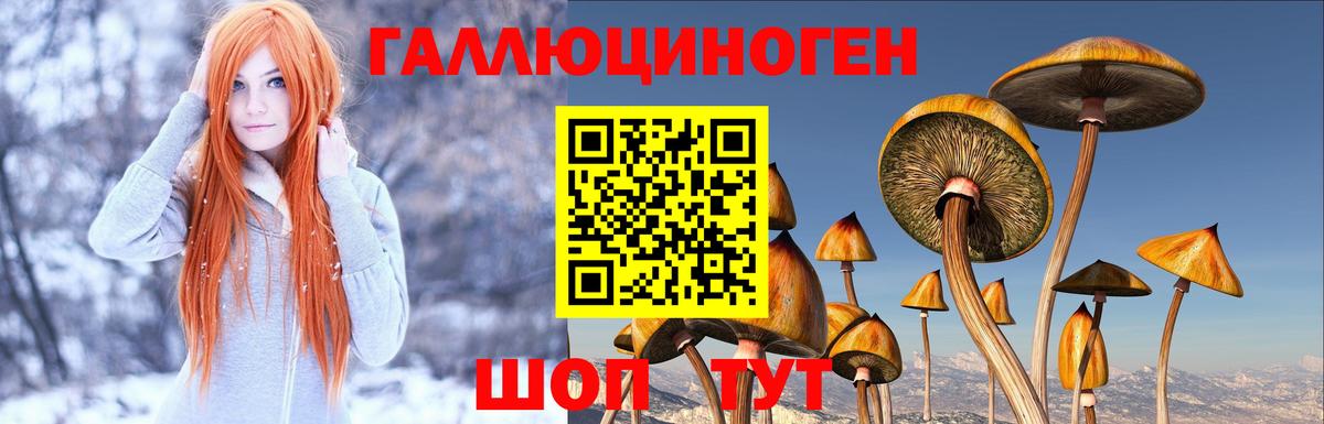 Псилоцибиновые грибы ЛСД Камень-на-Оби