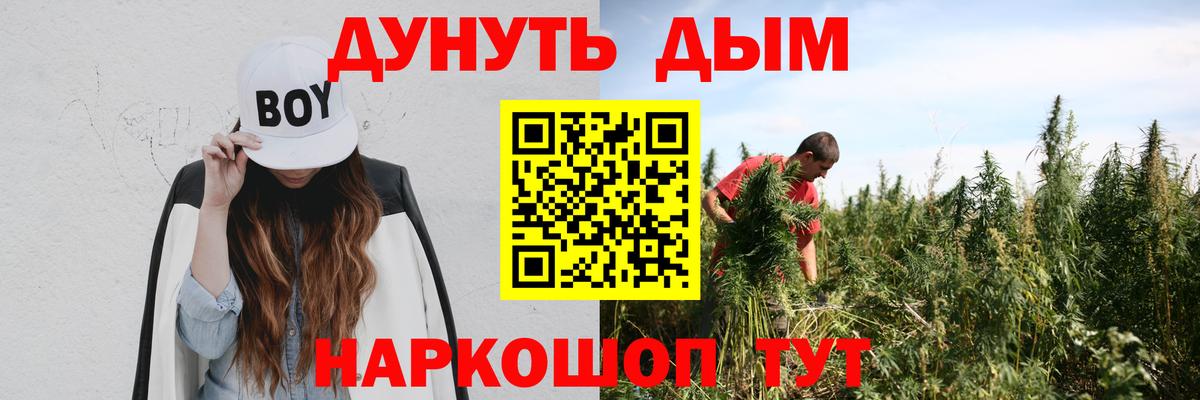 Каннабис сатива  Вход с VPN  Камень-на-Оби  Марихуана план  Каннабис Amnesia 